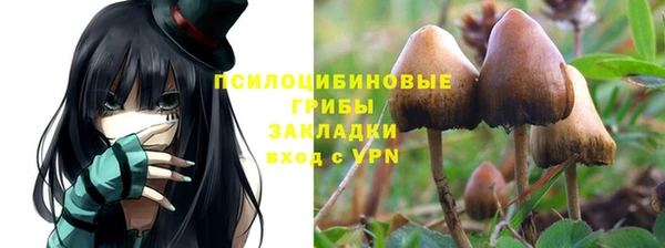 гидра Армянск