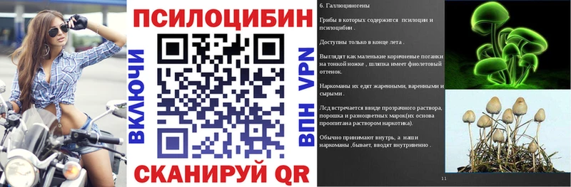Псилоцибиновые грибы Psilocybe  darknet формула  Ипатово 